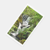 WATERFALL SERVET (Hoek)