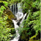 WATERFALL TISSUEPAPIER
