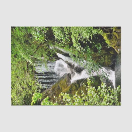 WATERFALL TISSUEPAPIER (Voorkant)