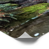 Waterfall Van Dusen Botanical Garden Vancouver Poster (Hoek)