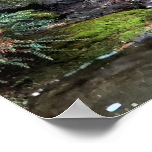 Waterfall Van Dusen Botanical Garden Vancouver Poster (Hoek)