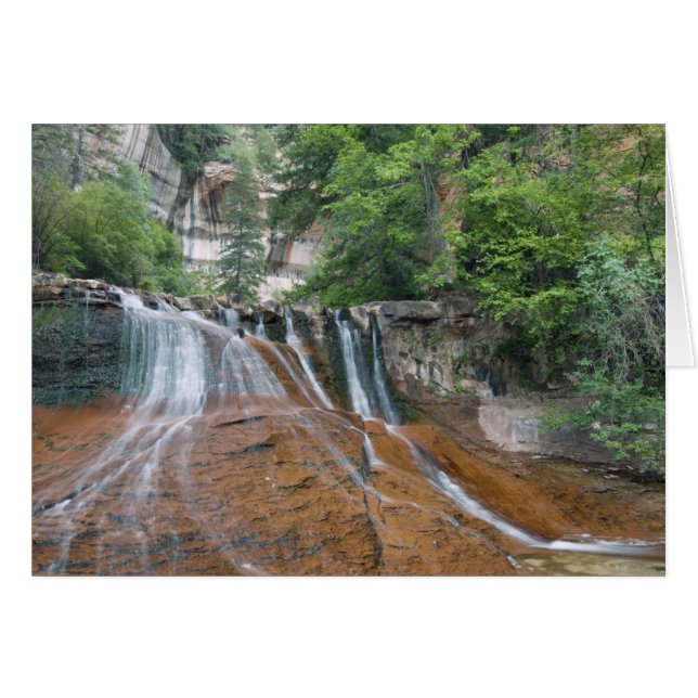 Waterfall, Zion National Park, Utah, Verenigde Sta (Voorkant Horizontaal)