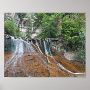 Waterfall, Zion National Park, Utah, Verenigde Sta Poster