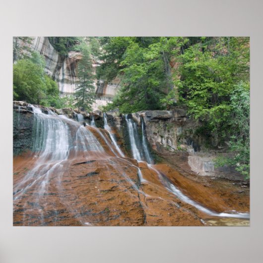 Waterfall, Zion National Park, Utah, Verenigde Sta Poster (Voorkant)