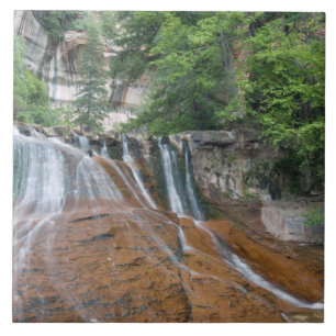 Waterfall, Zion National Park, Utah, Verenigde Sta Tegeltje