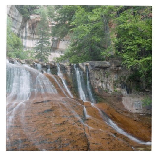 Waterfall, Zion National Park, Utah, Verenigde Sta Tegeltje (Voorkant)