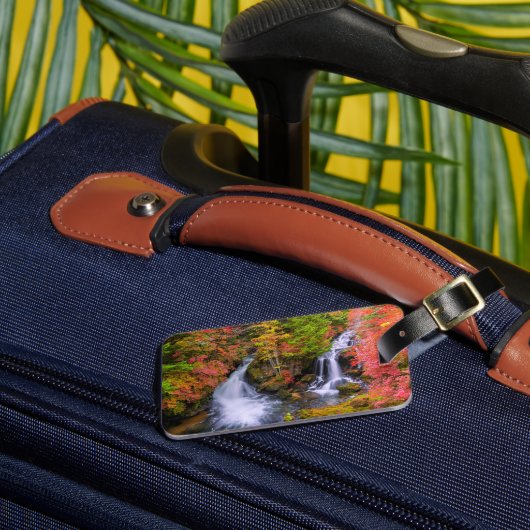 Waterfalls | Faucet Waterfalls Nikko Japan Fall Bagagelabel (Voorkant Insitu 3)