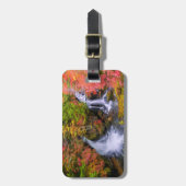 Waterfalls | Faucet Waterfalls Nikko Japan Fall Bagagelabel (Voorkant verticaal)