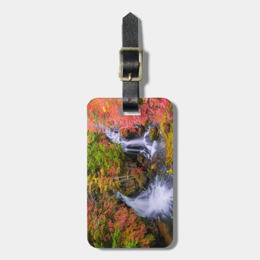 Waterfalls | Faucet Waterfalls Nikko Japan Fall Bagagelabel (Voorkant verticaal)