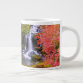 Waterfalls | Faucet Waterfalls Nikko Japan Fall Grote Koffiekop (Rechts)