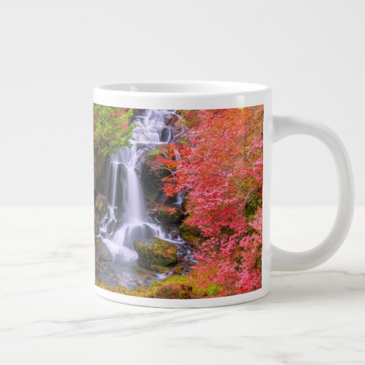 Waterfalls | Faucet Waterfalls Nikko Japan Fall Grote Koffiekop (Rechts)