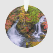 Waterfalls | Faucet Waterfalls Nikko Japan Fall Ornament (voorkant)