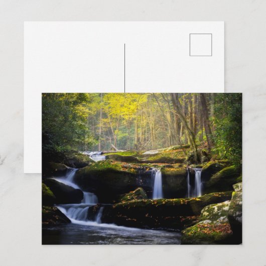 Waterfalls | Great Smoky Mountain National Park Briefkaart (Voorkant / Achterkant)