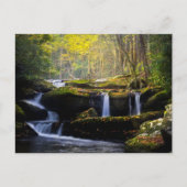 Waterfalls | Great Smoky Mountain National Park Briefkaart (Voorkant)