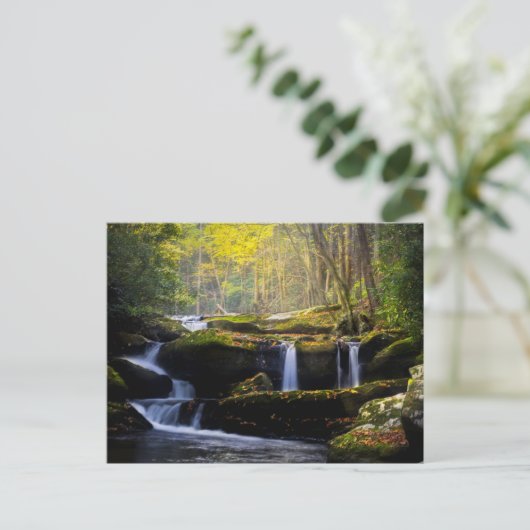 Waterfalls | Great Smoky Mountain National Park Briefkaart (Staand voorkant)