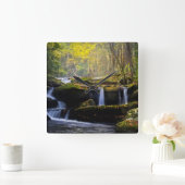 Waterfalls | Great Smoky Mountain National Park Vierkante Klok (Huis)