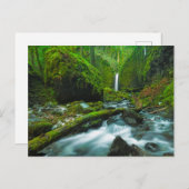 Waterfalls | Grotto Falls, Oregon Briefkaart (Voorkant / Achterkant)