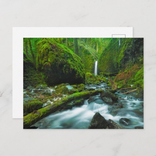 Waterfalls | Grotto Falls, Oregon Briefkaart (Voorkant / Achterkant)