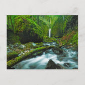 Waterfalls | Grotto Falls, Oregon Briefkaart (Voorkant)