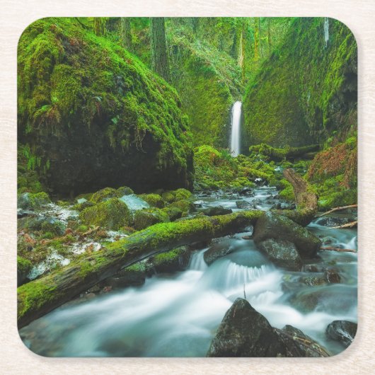 Waterfalls | Grotto Falls, Oregon Kartonnen Onderzetters (Voorkant)