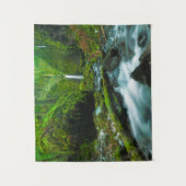 Waterfalls | Grotto Falls, Oregon Wandkleed (Voorkant)