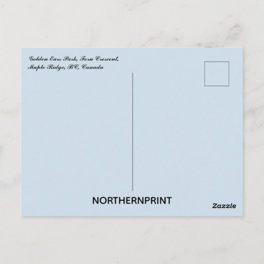 Waterfalls in Golden Ears Park Maple Ridge BC Briefkaart (Achterkant)