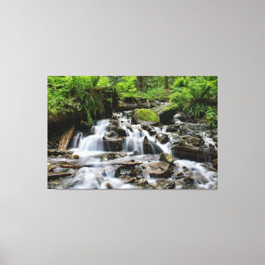 Waterfalls Nature Relaxation Home Office Picture Canvas Afdruk (Voorkant)