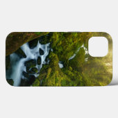 Waterfalls | Olympic National Park, Washington Case-Mate iPhone Case (Achterkant (horizontaal))