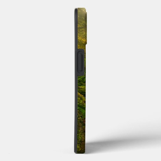Waterfalls | Olympic National Park, Washington Case-Mate iPhone Case (Achterkant / Rechts)