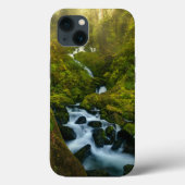 Waterfalls | Olympic National Park, Washington Case-Mate iPhone Case (Achterkant)