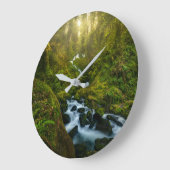 Waterfalls | Olympic National Park, Washington Grote Klok (Hoek)