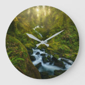 Waterfalls | Olympic National Park, Washington Grote Klok (Voorkant)
