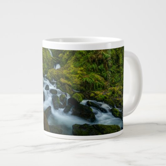 Waterfalls | Olympic National Park, Washington Grote Koffiekop (Voorkant rechts)