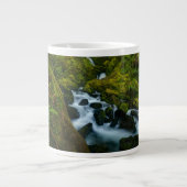 Waterfalls | Olympic National Park, Washington Grote Koffiekop (Voorkant)