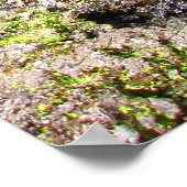 Waterfalls on the Road to Hana, Maui, Hawaii Poster (Hoek)