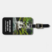 Waterfalls | Phu Tub Berk Mountain, Thailand Bagagelabel (Voorkant horizontaal)