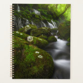 Waterfalls | Satoyama Kisakata Waterfalls Planner (Voorkant)