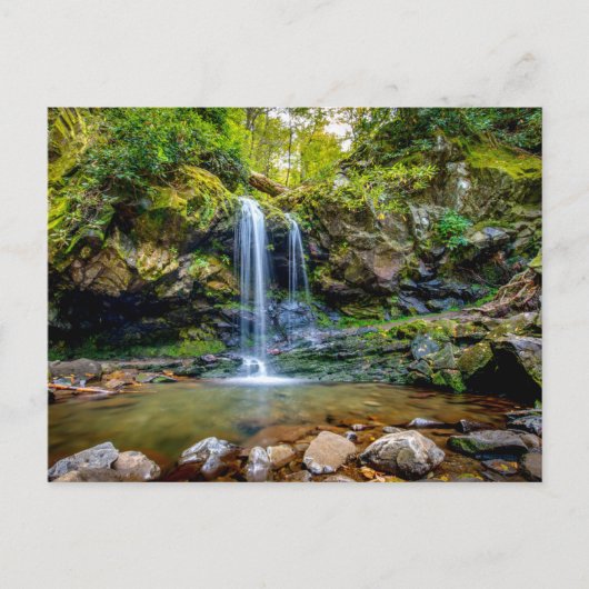 Waterfalls | Smokey Mountain National Park Briefkaart (Voorkant)
