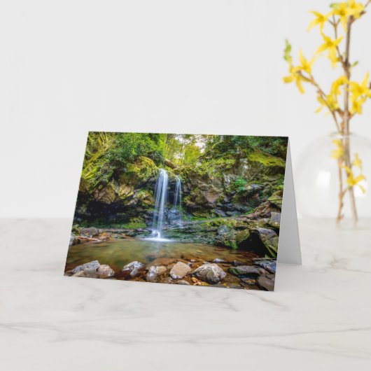 Waterfalls | Smokey Mountain National Park Kaart (Gele Bloem)