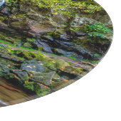 Waterfalls | Smokey Mountain National Park Snijplank (Hoek)