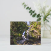 Waterfalls | Triberger Wasserfälle, Germany Briefkaart (Staand voorkant)