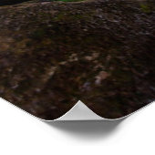 Waterfalls | Triberger Wasserfälle, Germany Poster (Hoek)