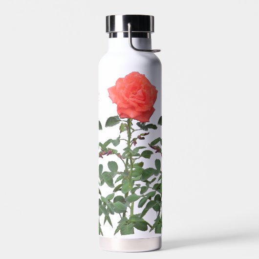 Waterfles - drie roze rozen (Links)