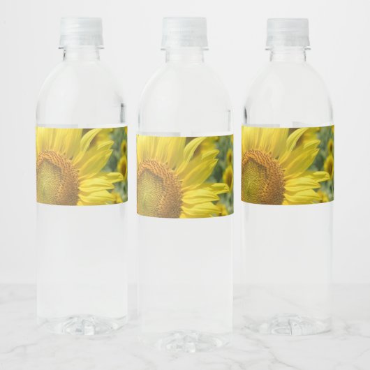 Waterfleslabels Waterfles Etiket (Flessen)