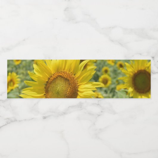 Waterfleslabels Waterfles Etiket (Enkel label)