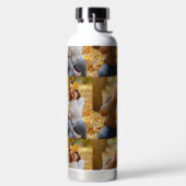 Waterflessen Waterfles (Links)