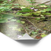 Waterfontein Foto Afdruk (Hoek)