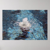 Waterfontein Poster (Voorkant)