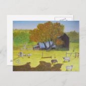 Waterford Barn & Sheep Briefkaart (Voorkant / Achterkant)