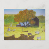Waterford Barn & Sheep Briefkaart (Voorkant)